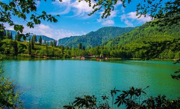 Karadeniz Rüyası Yaylalar Ve Batum Turu (4 Gece Otel Konaklamalı)